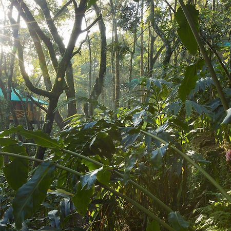 Dream Catcher Resort Munnar Luaran gambar