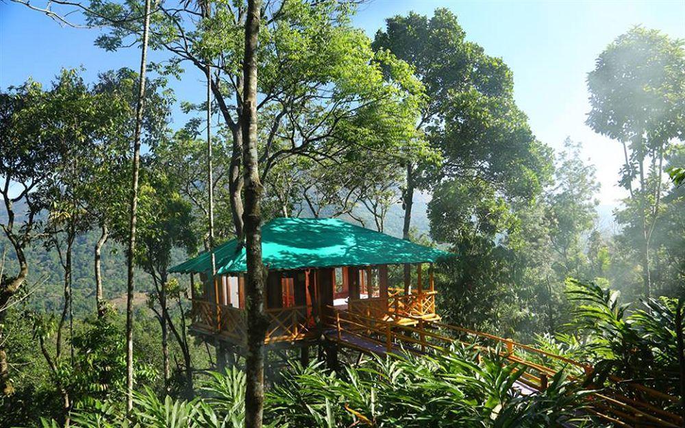 Dream Catcher Resort Munnar Luaran gambar
