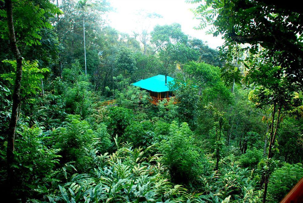 Dream Catcher Resort Munnar Luaran gambar