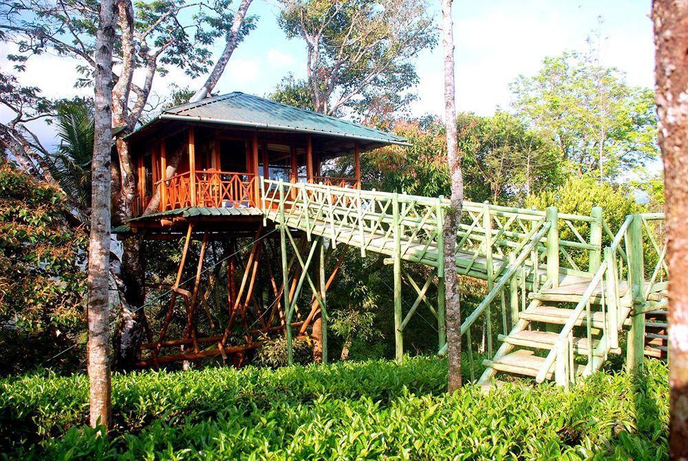 Dream Catcher Resort Munnar Luaran gambar