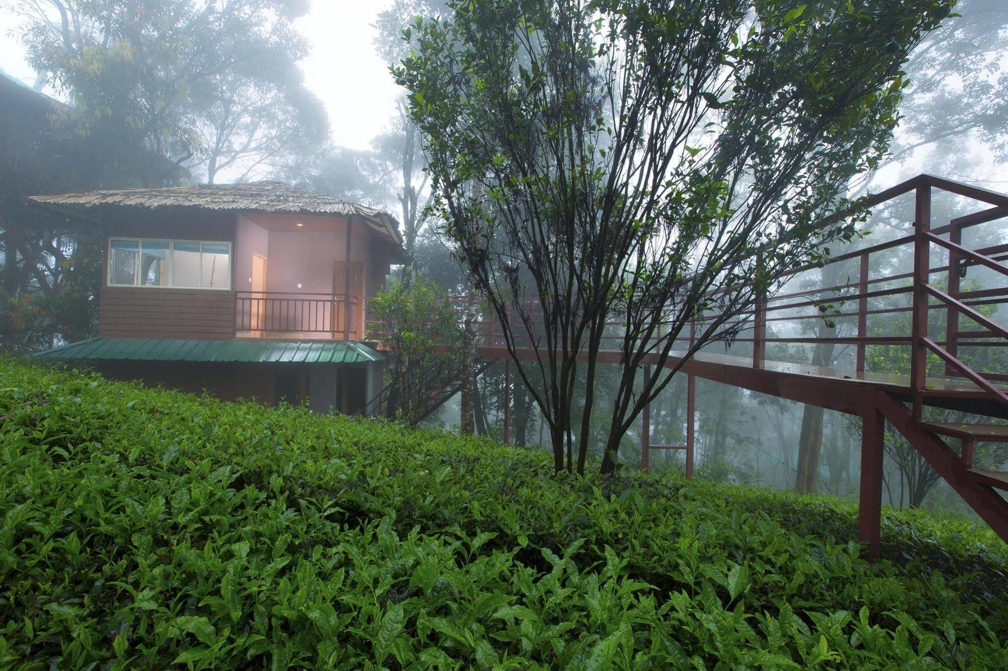 Dream Catcher Resort Munnar Luaran gambar
